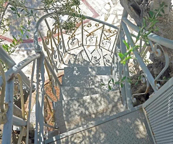 Veni Olive House 펜션