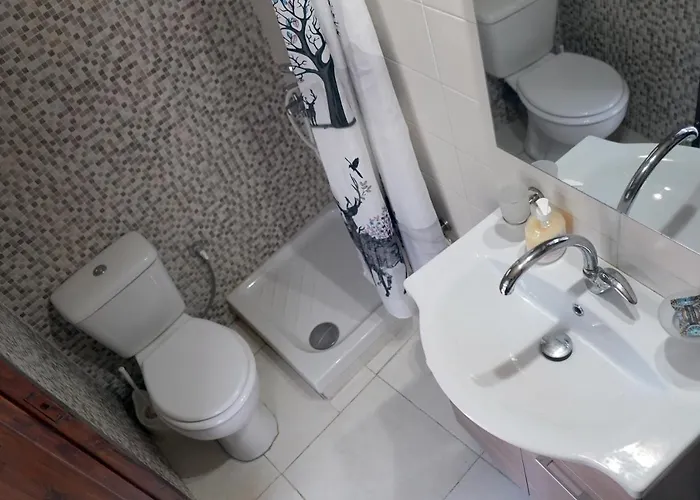 Veni Olive House 펜션