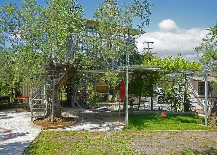 Veni Olive House * 칼라마타