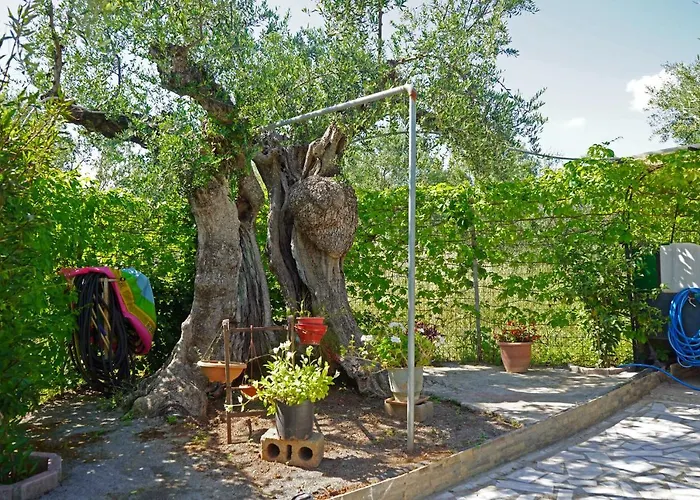 Hébergement de vacances Veni Olive House *