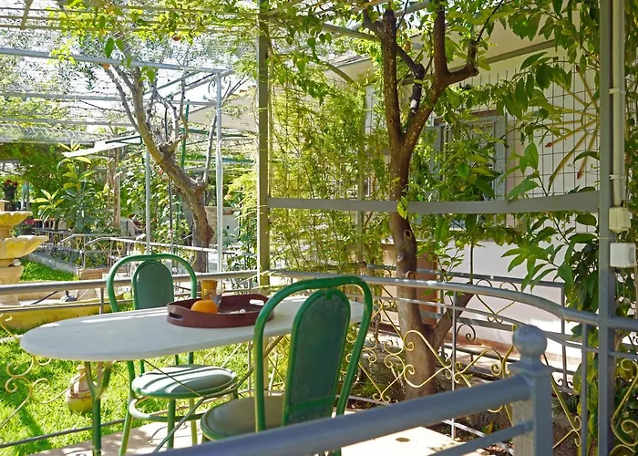 Hébergement de vacances Veni Olive House *