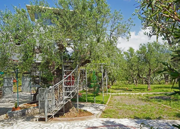 Veni Olive House