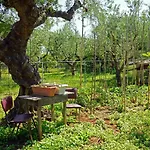 Veni Olive House Holiday home *