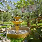 Holiday home Veni Olive House *