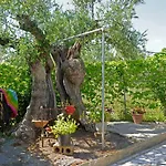Holiday home Veni Olive House *
