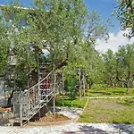 Veni Olive House