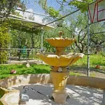 Veni Olive House