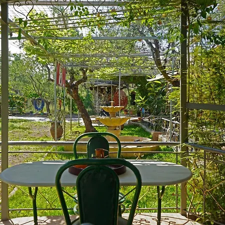 Ferienhaus Veni Olive House Kalamata