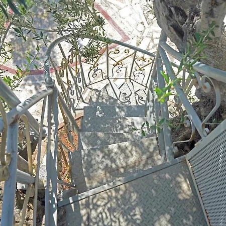 Veni Olive House Σπίτι διακοπών