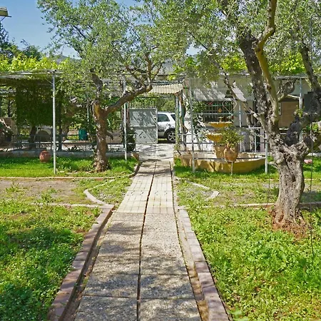 Veni Olive House カラマタ