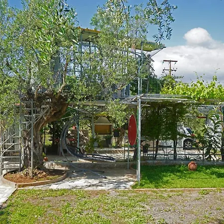 Veni Olive House * Kalamata