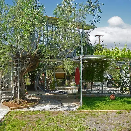Veni Olive House * Каламата