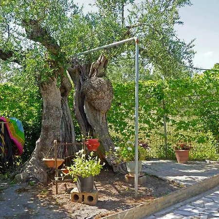 Σπίτι διακοπών Veni Olive House *