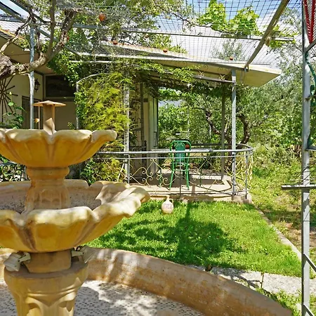 Veni Olive House *
