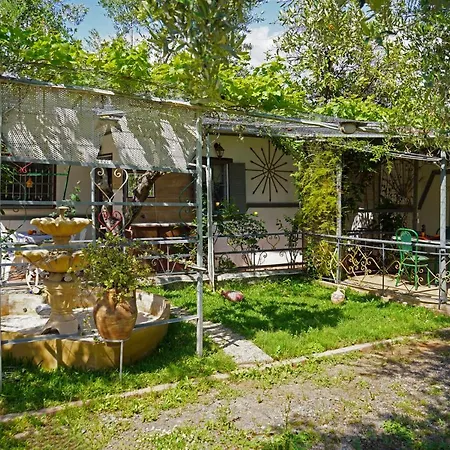 Veni Olive House *