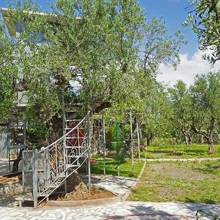 Veni Olive House