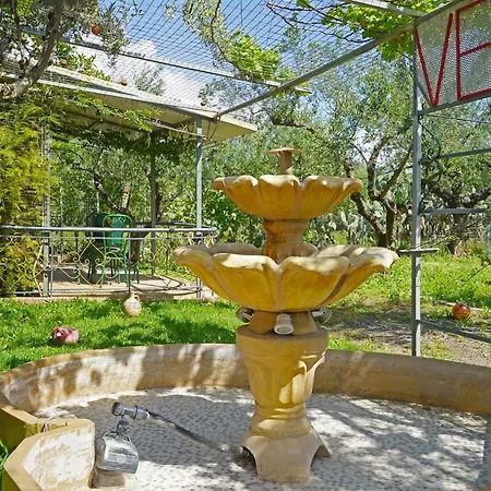 Veni Olive House