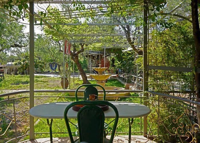 Дом отдыха Veni Olive House Каламата