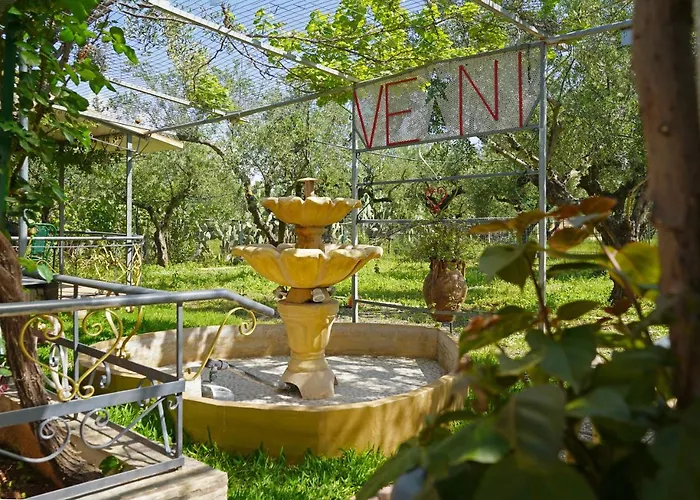 Дом отдыха Veni Olive House *