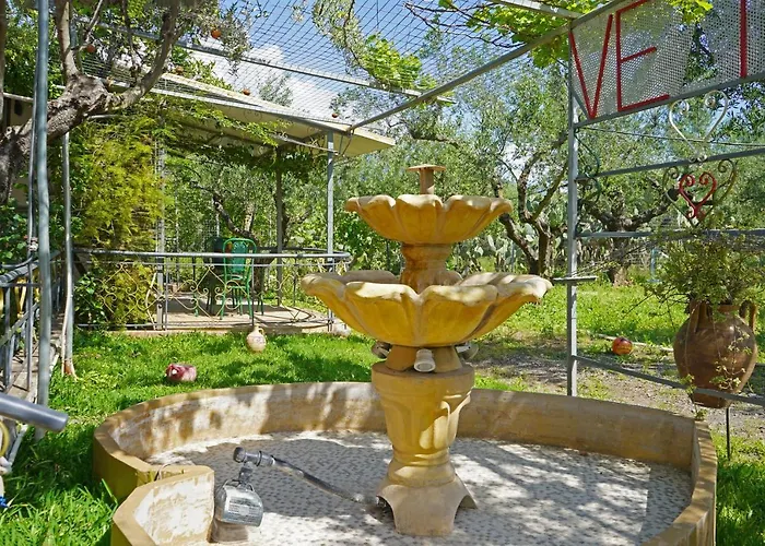 Veni Olive House